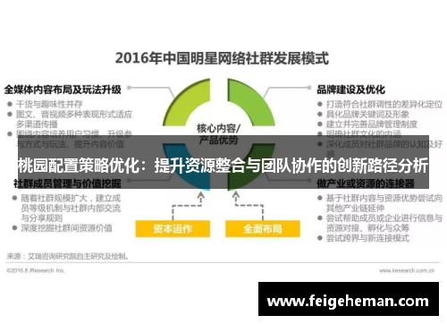 桃园配置策略优化：提升资源整合与团队协作的创新路径分析